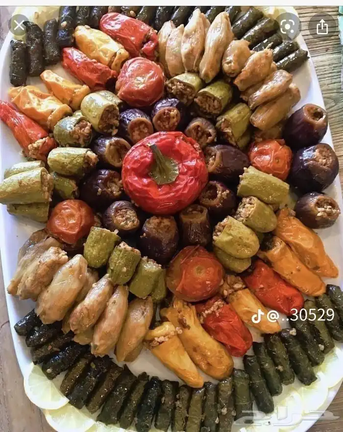 إيدامات ام فيصل جدة 4