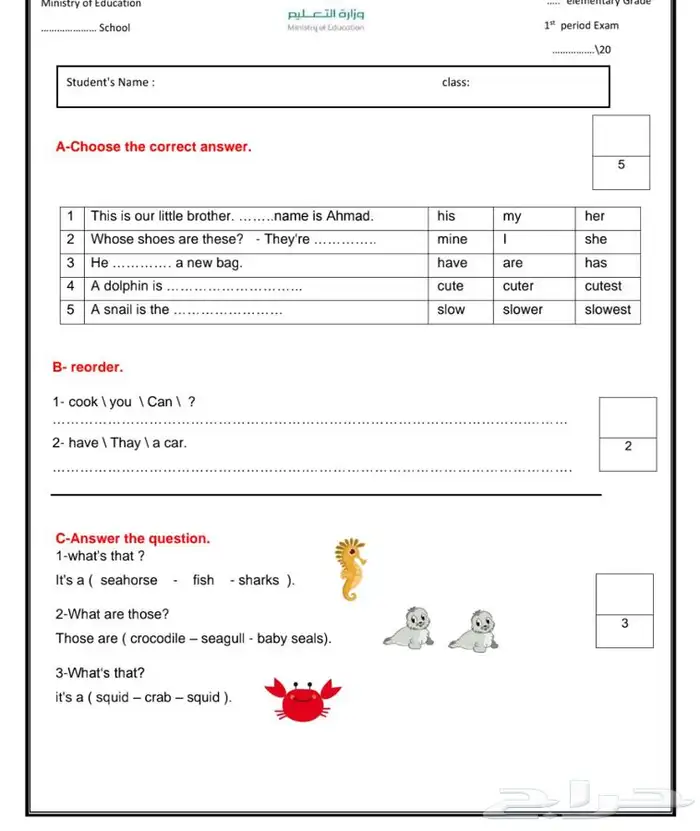 معلمه انجليزي 0