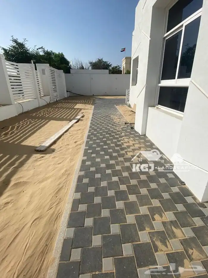 الاحساء 2