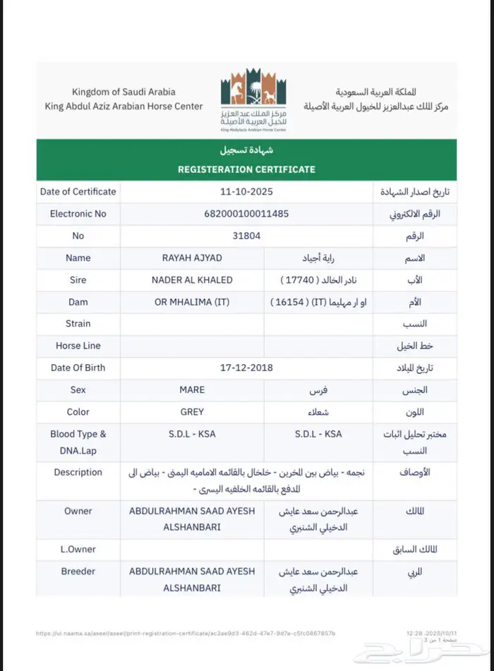 فرس مصريه بيور لقاح 8 شهور على شرف الخالد 5