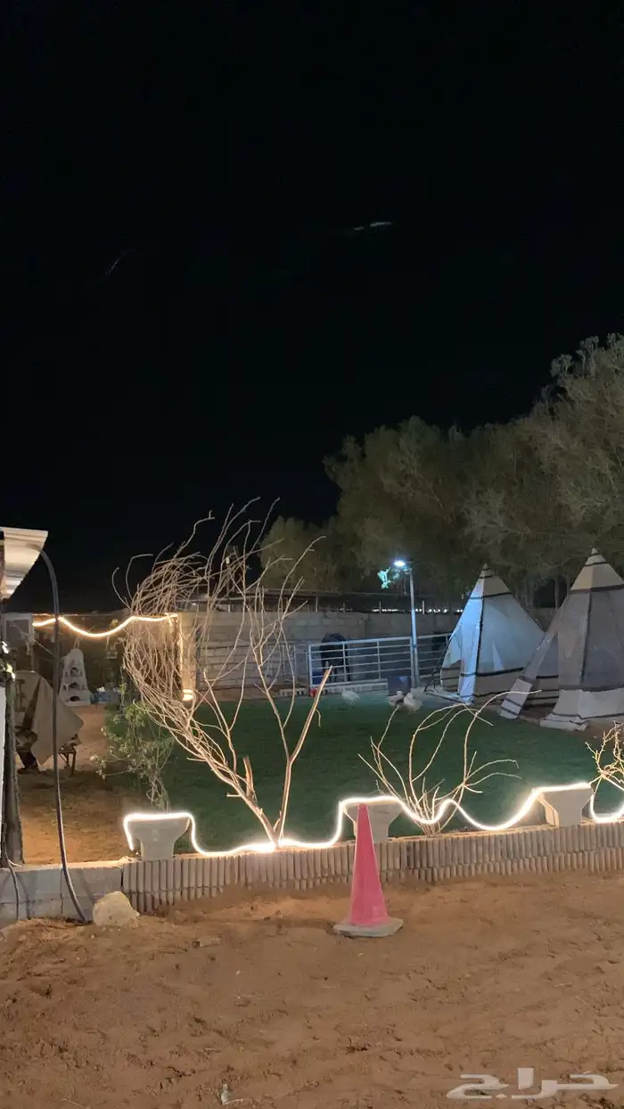 مربط النياف يرحب فيكم يوجد إيواء وعسف وتدريب 2