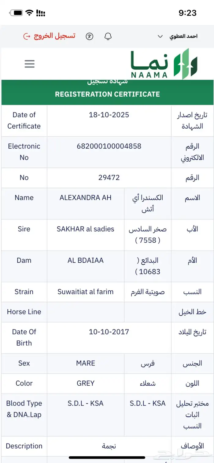 فرس واهو لقاح 3