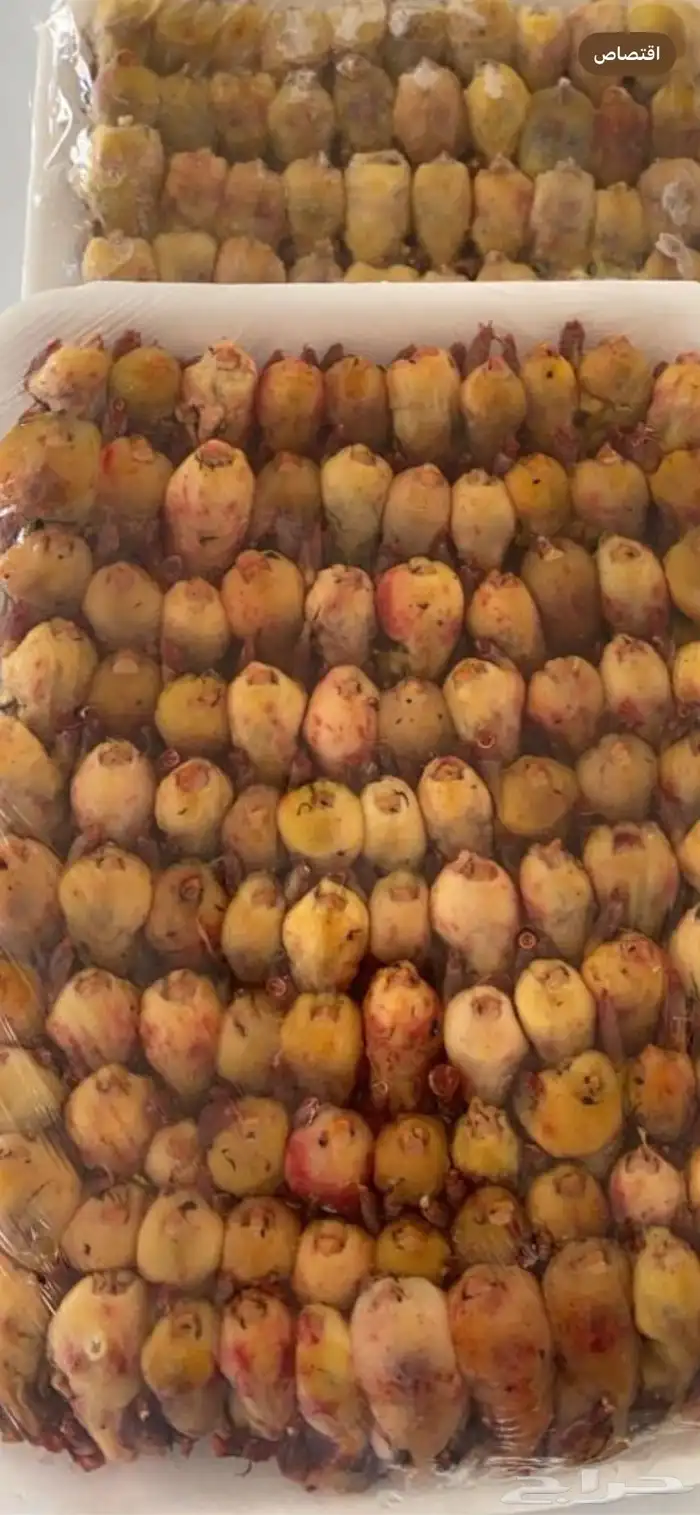 طيور دخل صيد الموسم 2