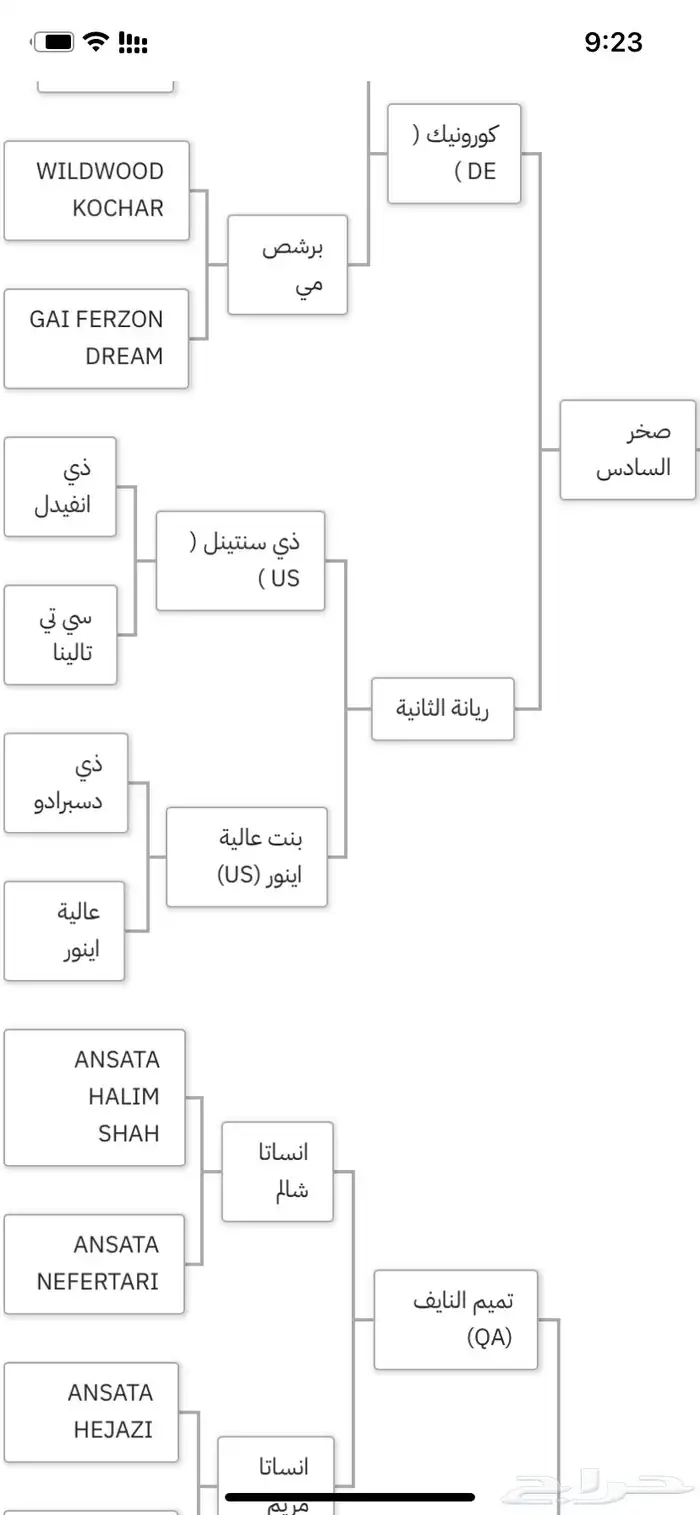 فرس واهو لقاح 4