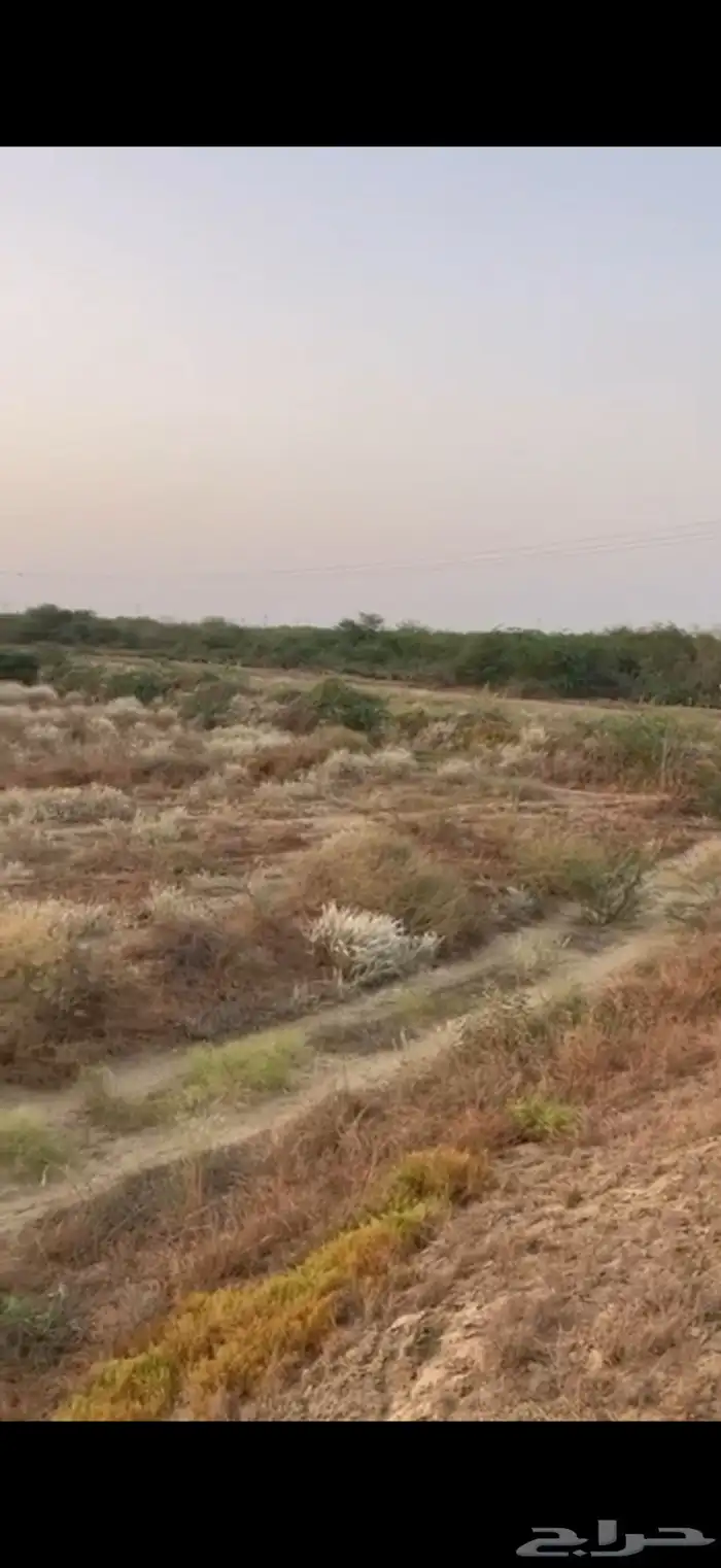 ارض زراعية للبيع في جازان 2