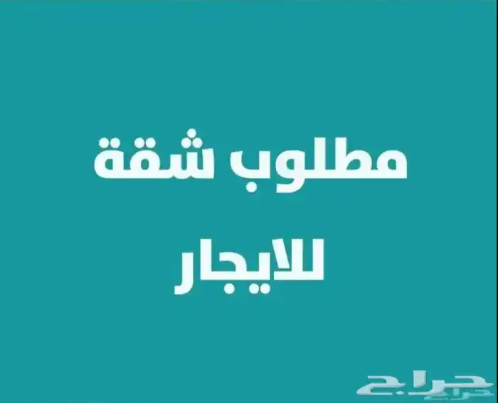مطلوب شقه للايجار 0