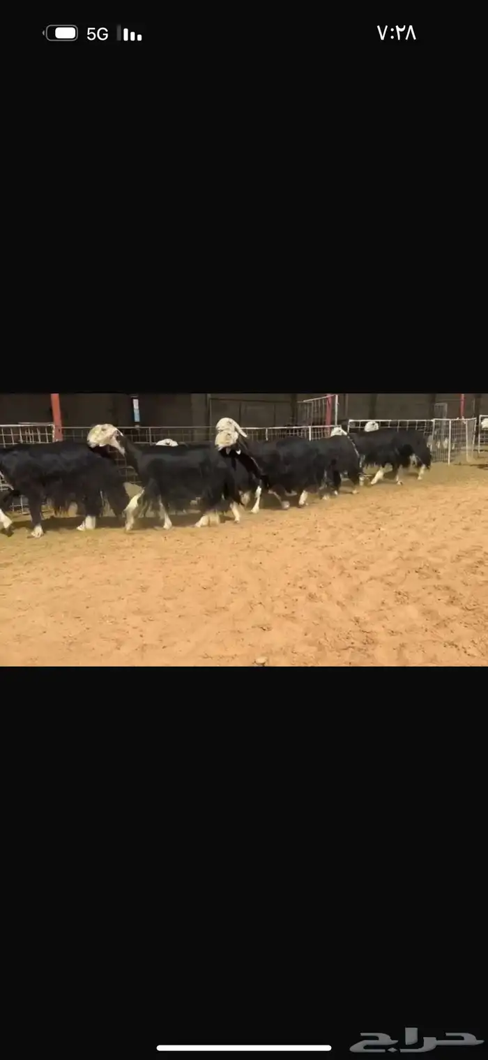 عرض بيع ثنوات وربعيات فاخره مضاريع سونار 3