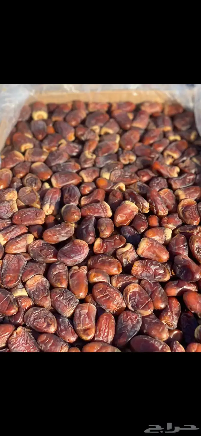 برني العيص سطول وكراتين 3