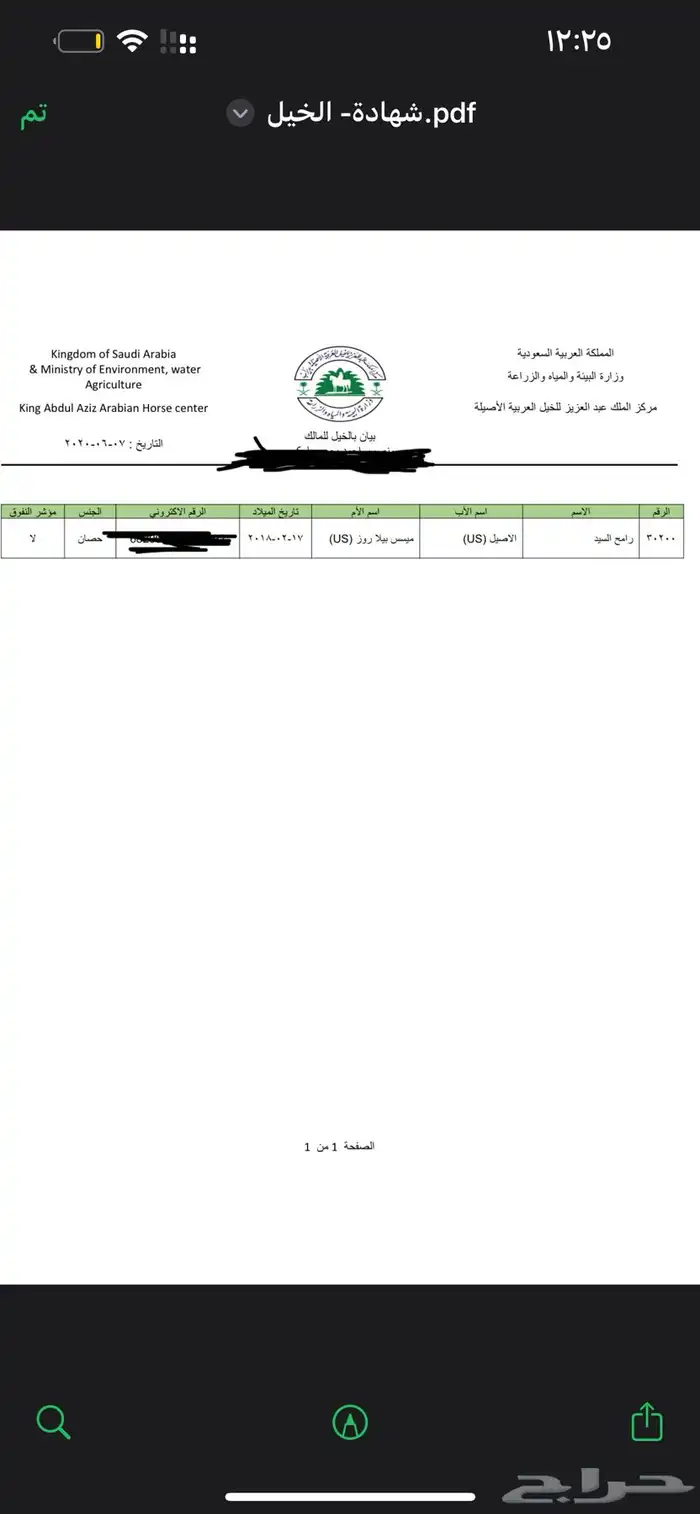 خيل عربي اصيل 4