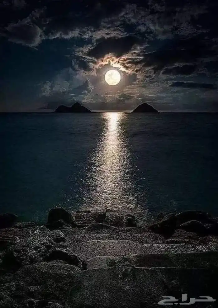 مطلوب مكينه 24 بخاخ 0