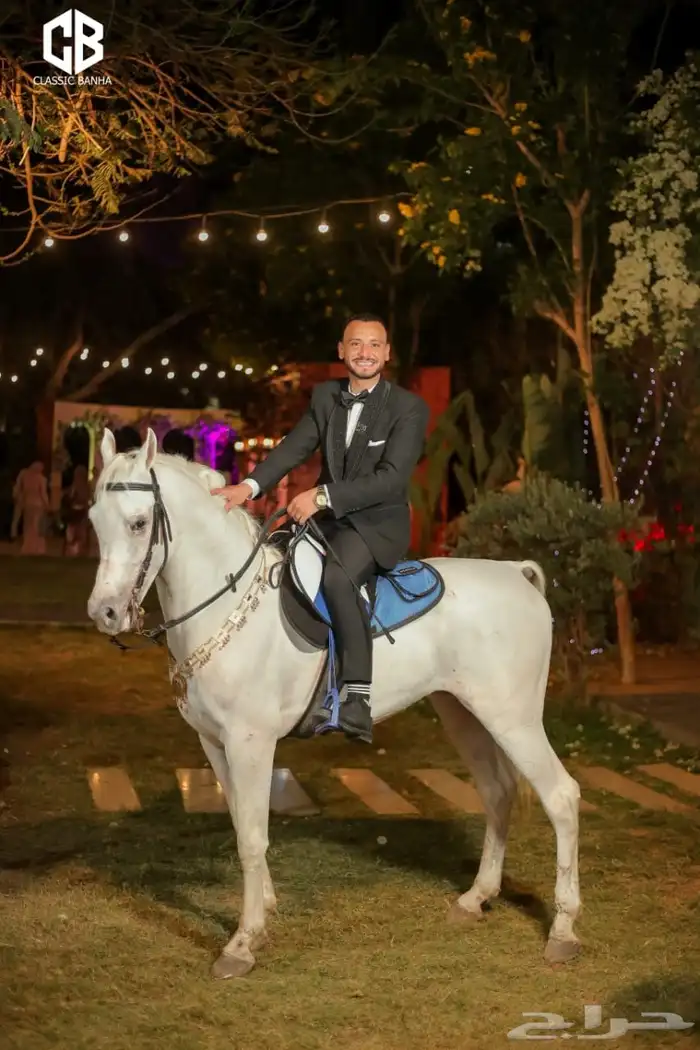 ايواء خيل1000 0