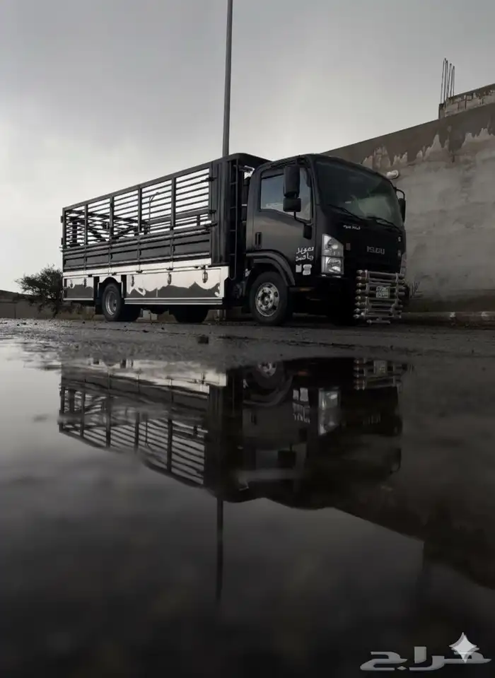 دينه نقل سته متر إلى جميع مناطق المملكة 0