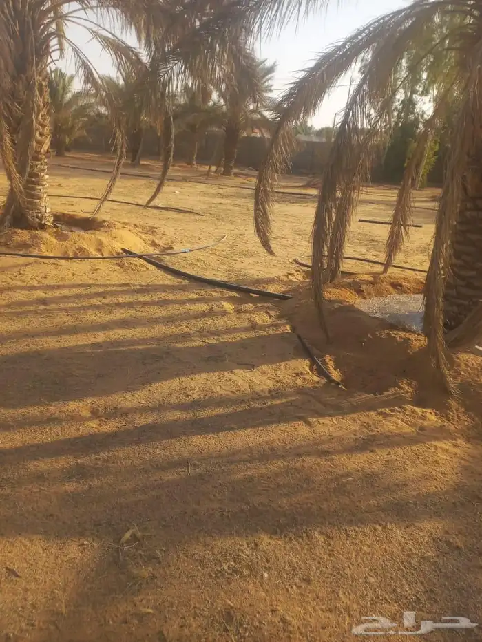 مزرعه واستراحة للبيع 1