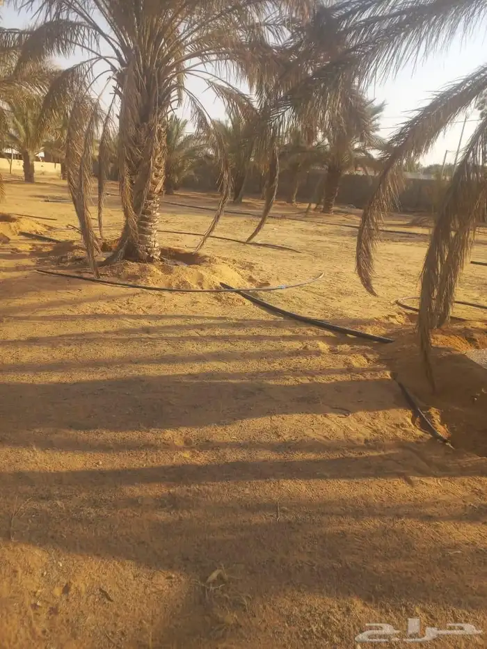 مزرعه واستراحة للبيع 10