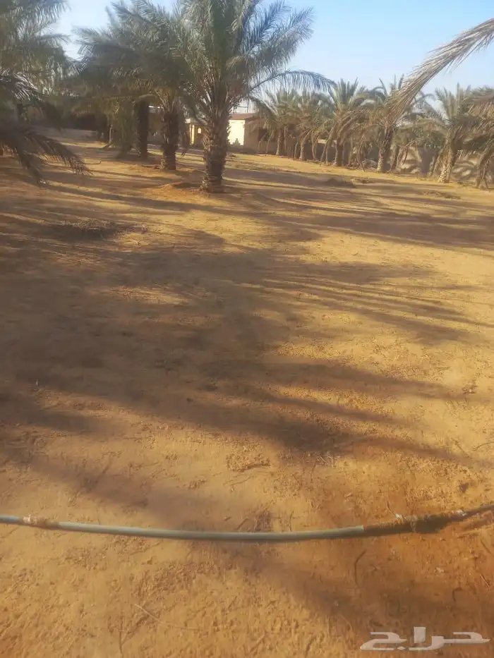 مزرعه واستراحة للبيع 22