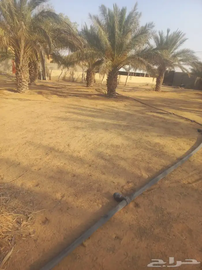 مزرعه واستراحة للبيع 4