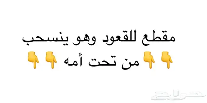 حاشي لباني مسحوب تحت امة البيع بالربع 6