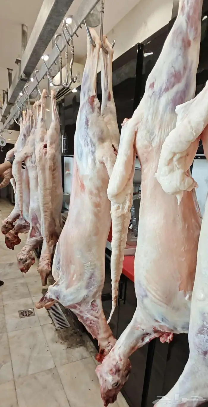 عرض ذبايح أنظف لحم بأفضل سعر 0