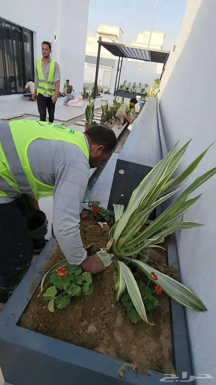 احواض زرع جملة كبيرة ومراكن فايبر بسعر المصنع تبوك 39