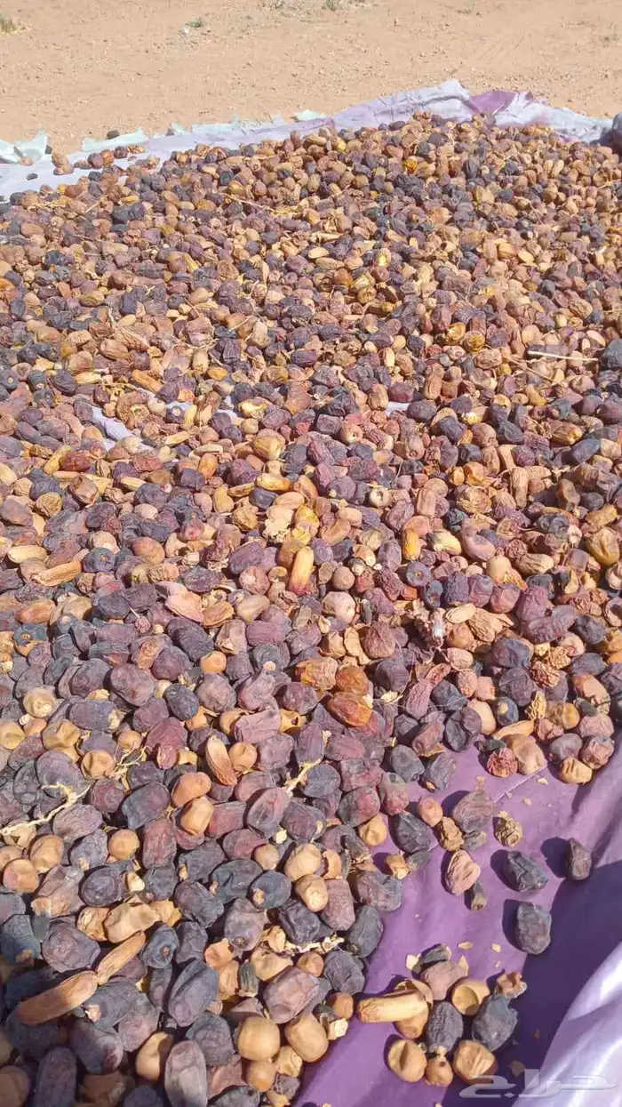 علف تمر 15 كيس السعر22 ريال للكيس 1