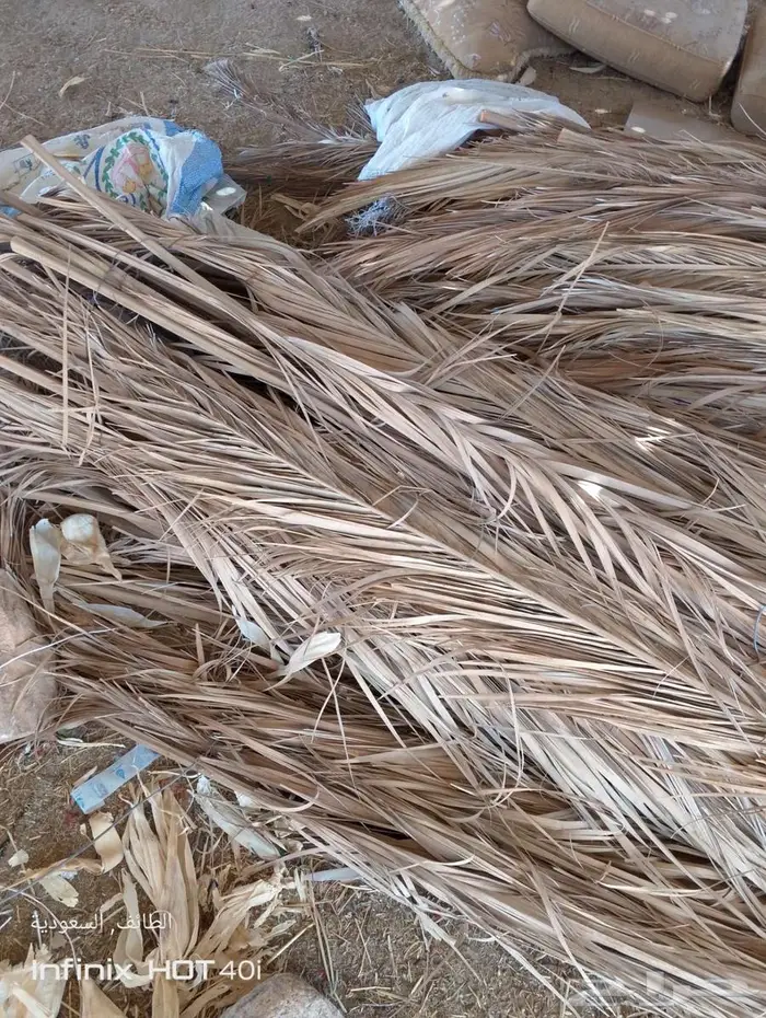 سعف نخل .. جريد للبيع 0