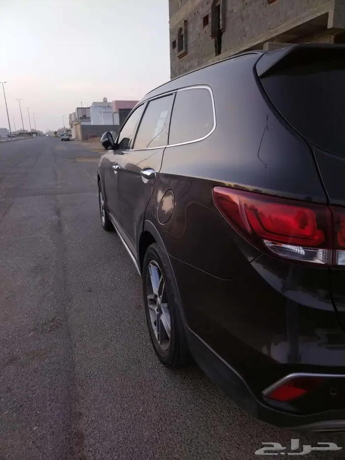 سنتافي 2017 10