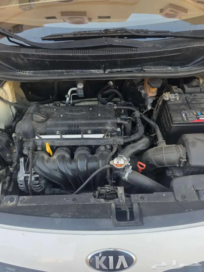 كيا ريو 2015 نظيفه 17