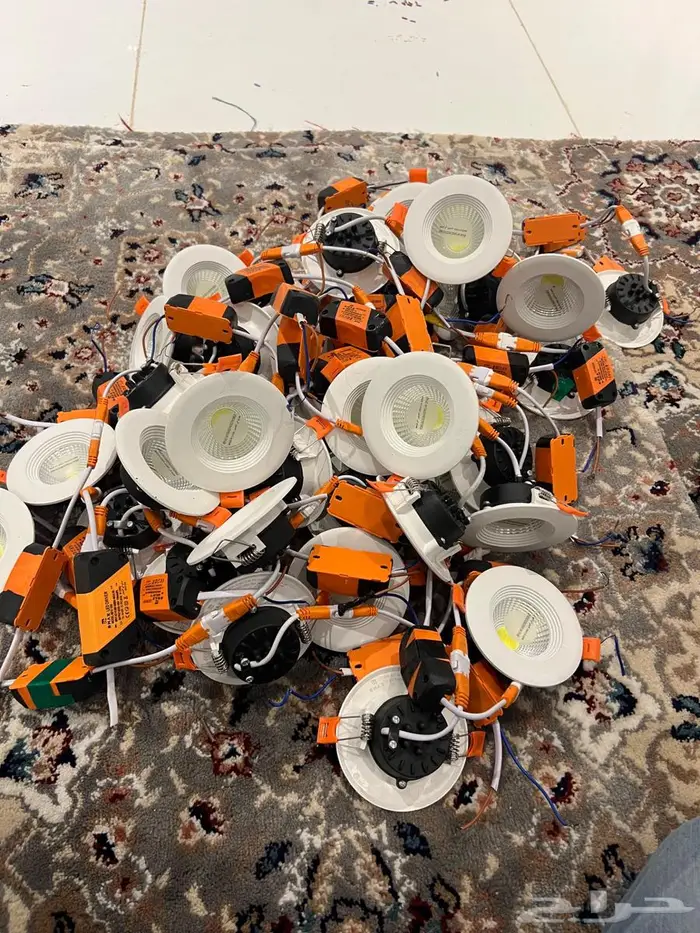 لنبات سقف 2