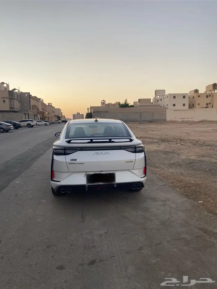 يارس دونج 2025 4