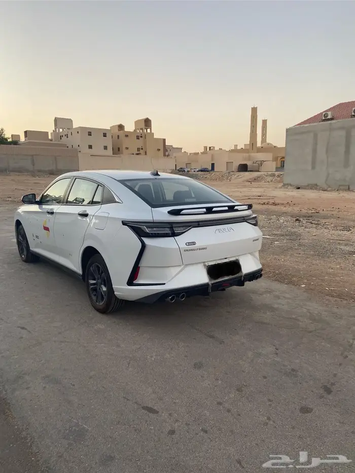 يارس دونج 2025 5