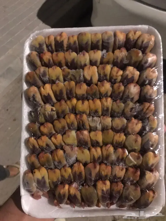 بواجي من مصر 1