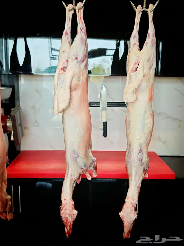 عرض ذبايح أنظف لحم بأفضل سعر 9