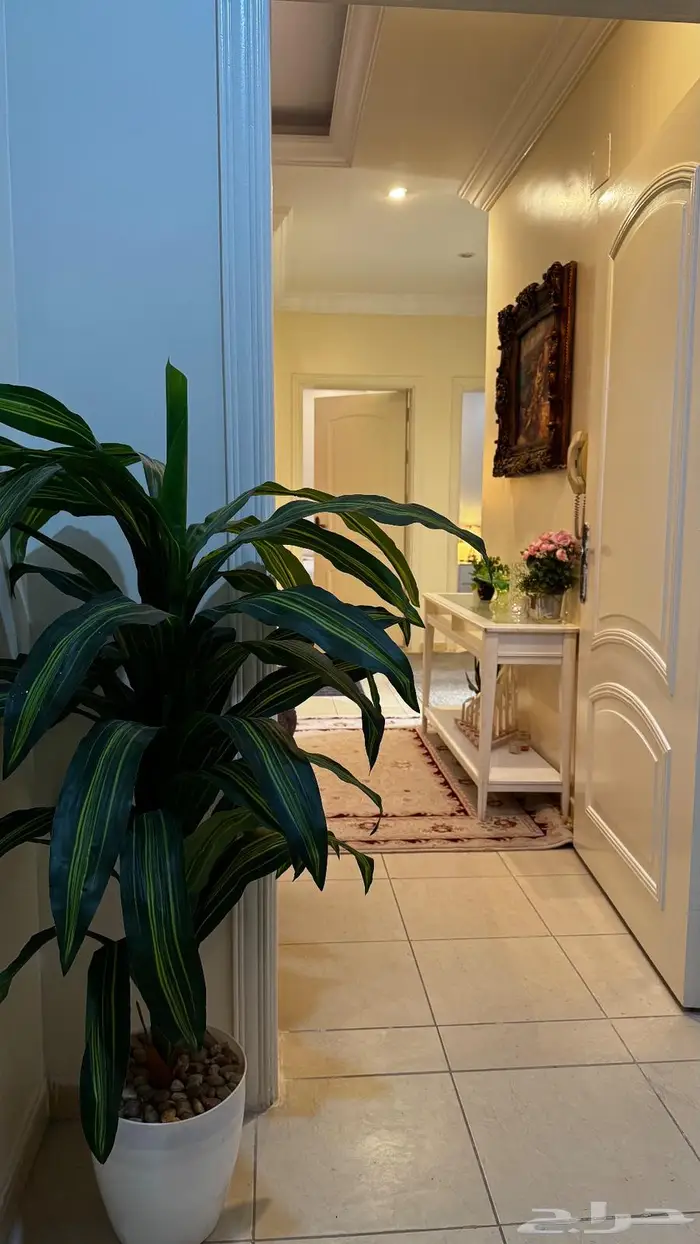 شقه 3 غرف نوم وصاله بموقع مميز بحي السلامه ممشي اليمامه 4