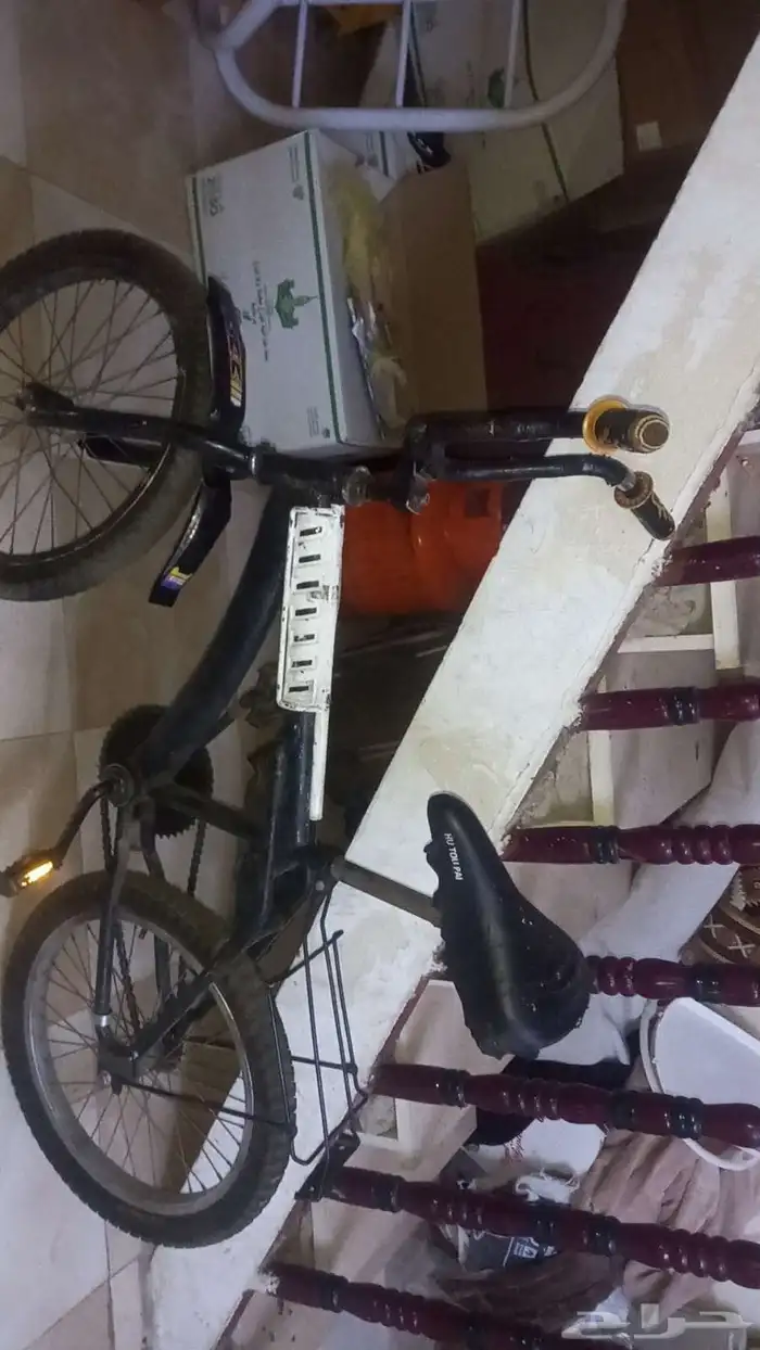 سيكل اندنوسي سيكل كوبرا 0