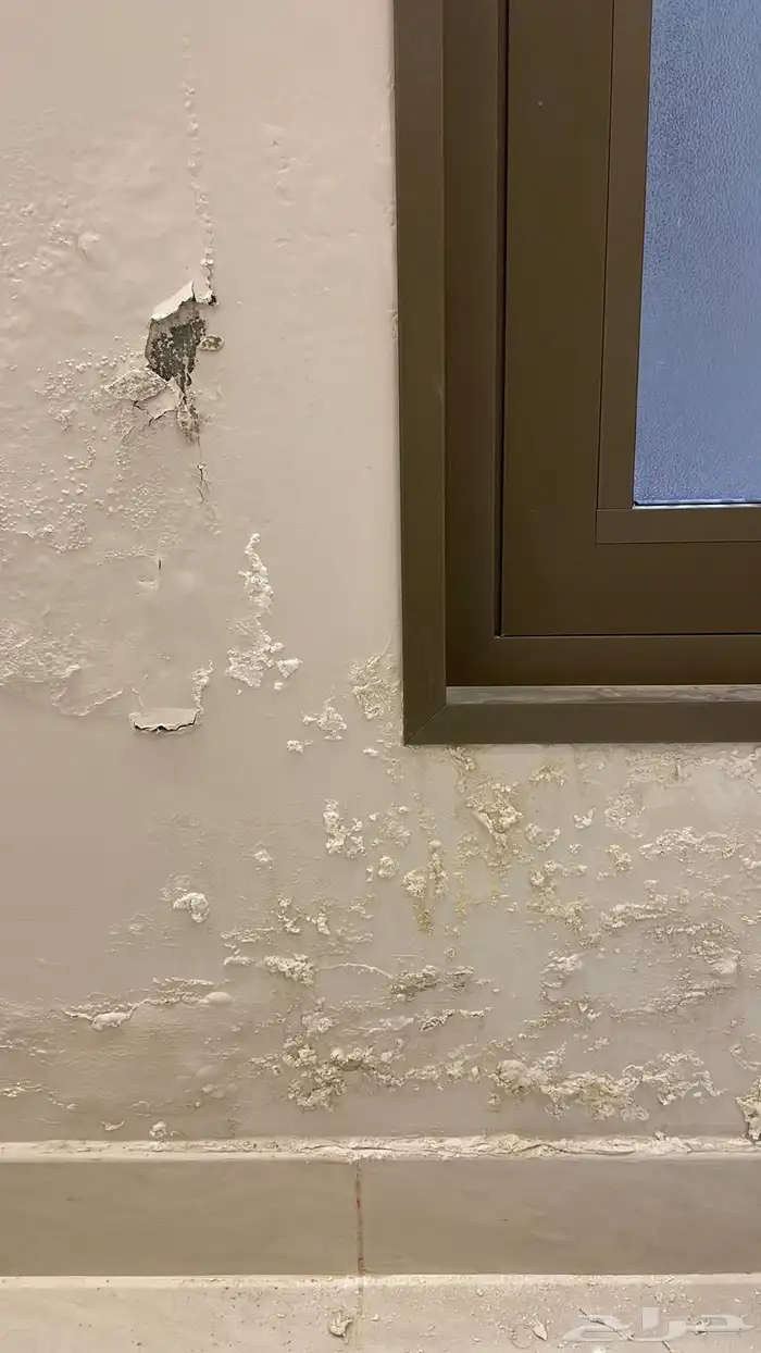 معالجة الرطوبة 3