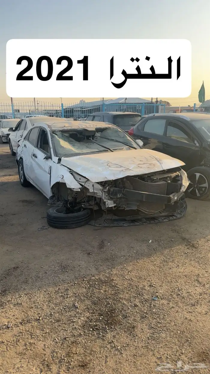 سيارات مصدومه ومصدوم للبيع يوم السبت في المزاد 23