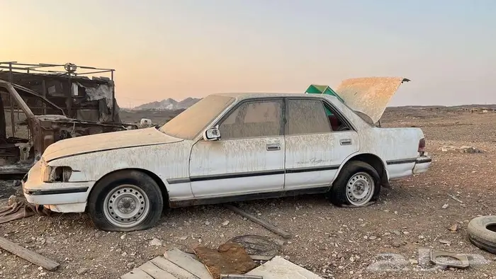 كراسيداء 91 0