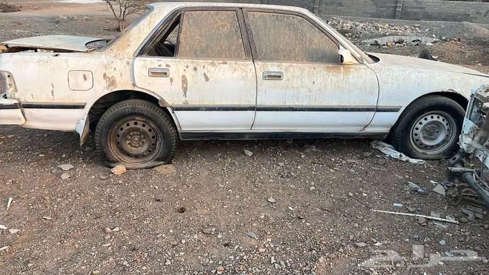 كراسيداء 91 5