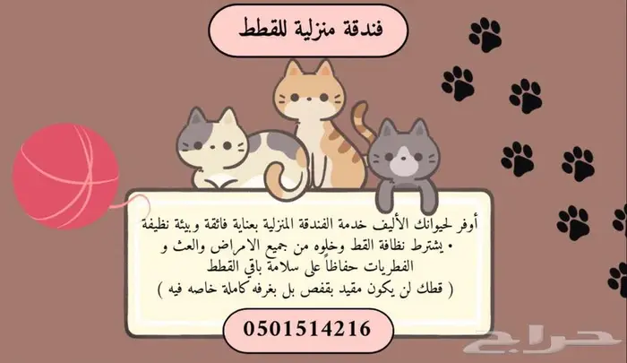 فندقة قطط 1