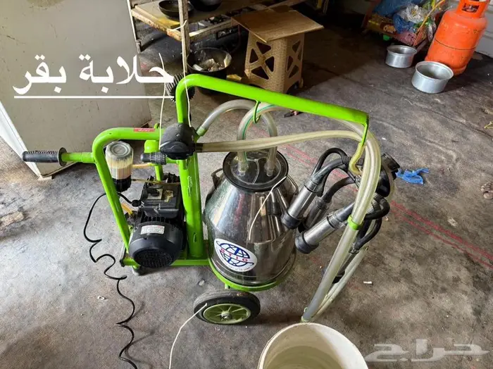 حلابة بقر   فلاته حشرات للبيع 1