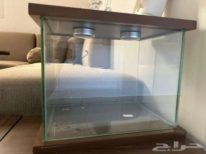 بوكسات عرض للبيع 2