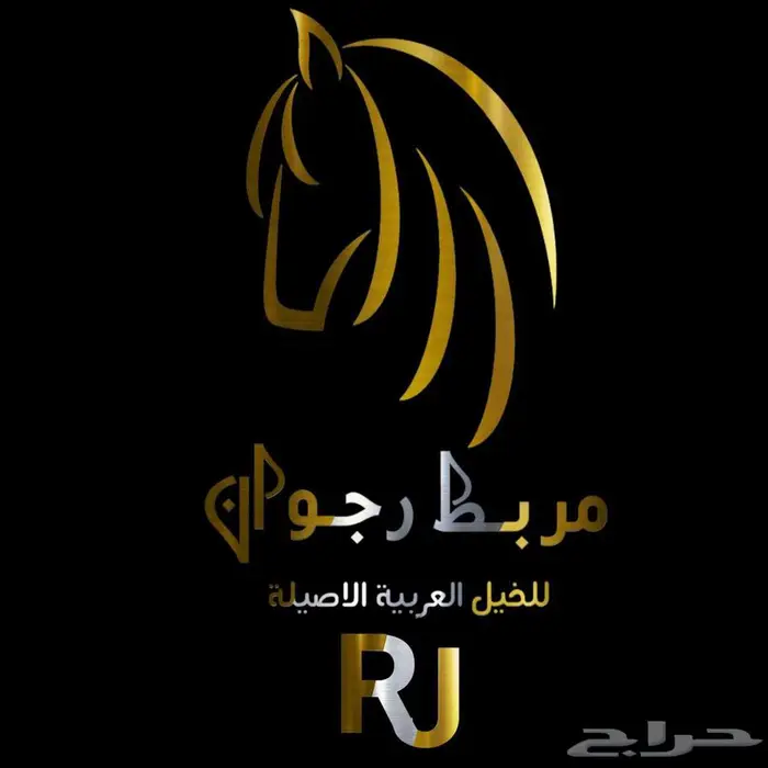 ايواء خيل مكه الراشدية 0