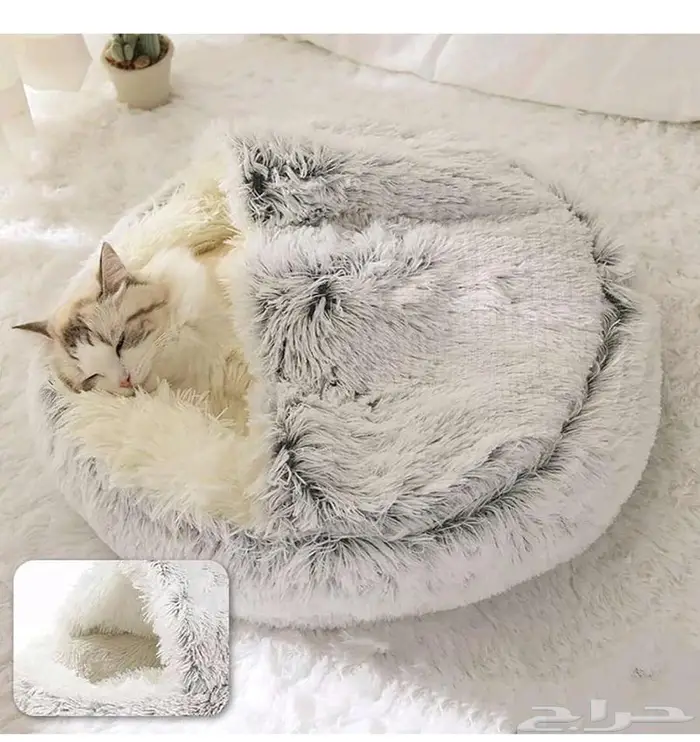 مبيت قطط نوم 1
