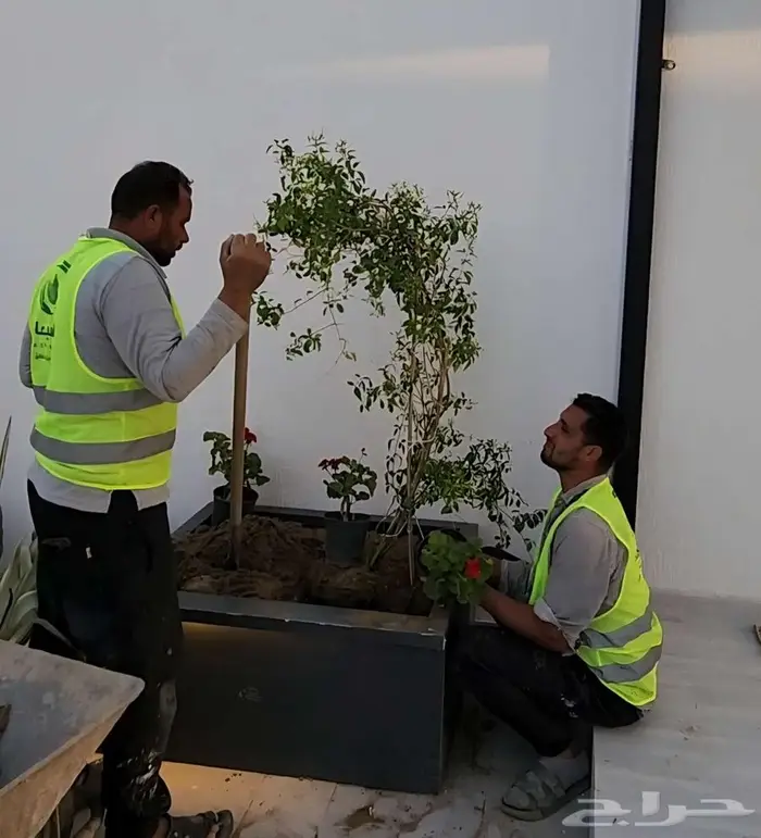 احواض زرع جملة كبيرة ومراكن فايبر بسعر المصنع تبوك 40