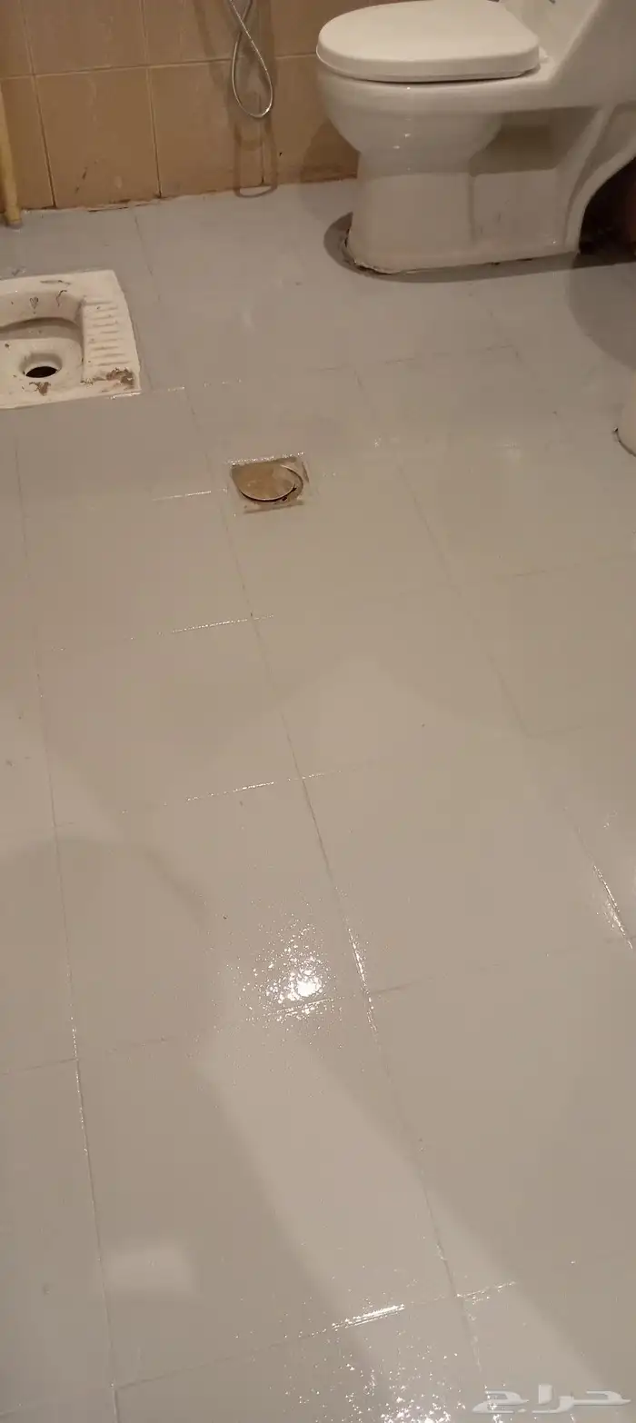 اصباغ_دهانات 2