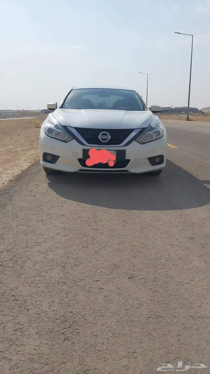 التيما 2018 نص فل 0