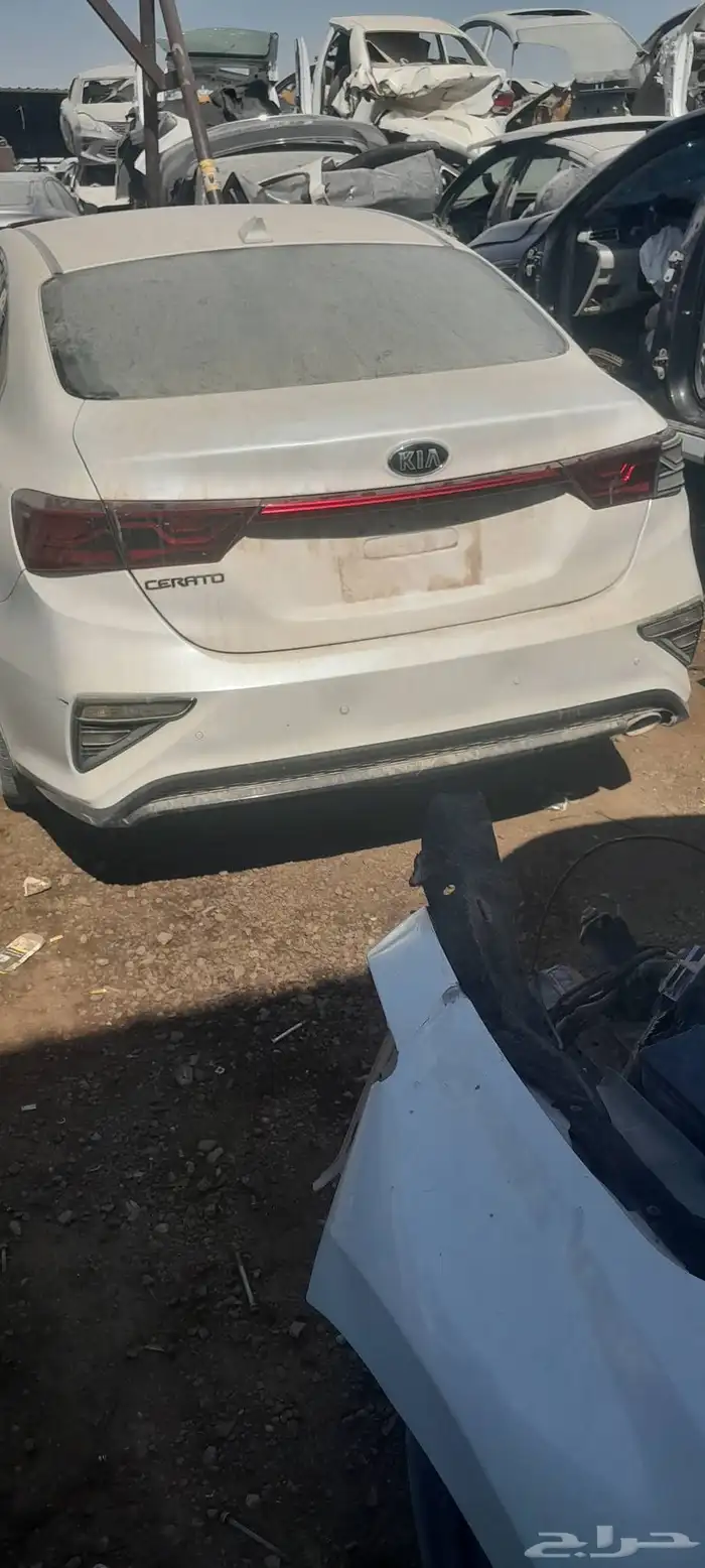 كياسورنتو موديل 2019 0