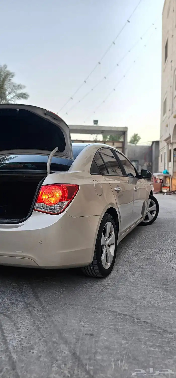 كروز 2011 2