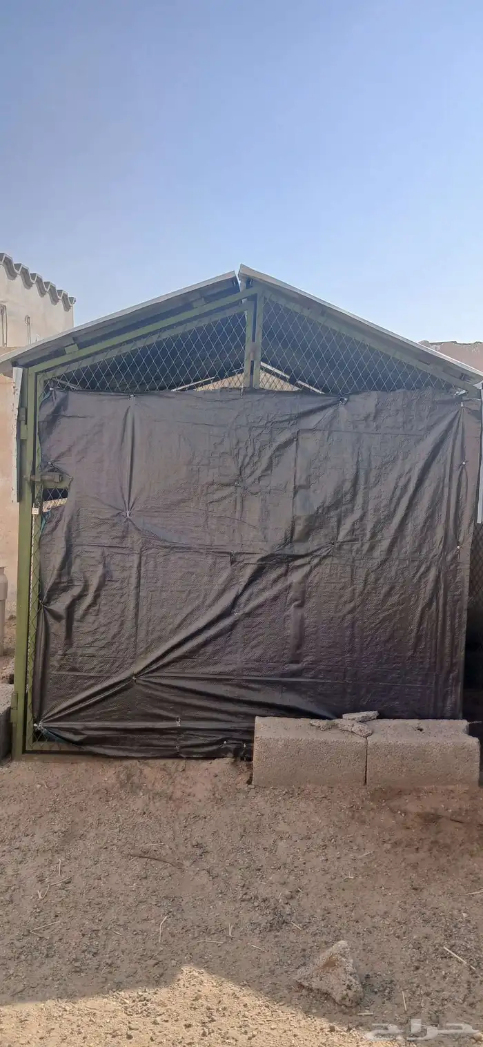 شبك دجاج للبيع المقاس 2 في 2 0