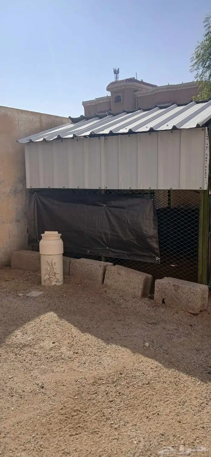 شبك دجاج للبيع المقاس 2 في 2 1